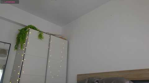 fazeyj @ chaturbate on 20250729