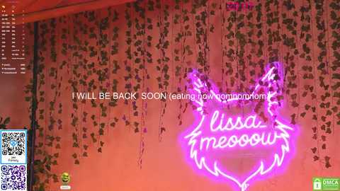 lissa_meooow @ chaturbate on 20250729