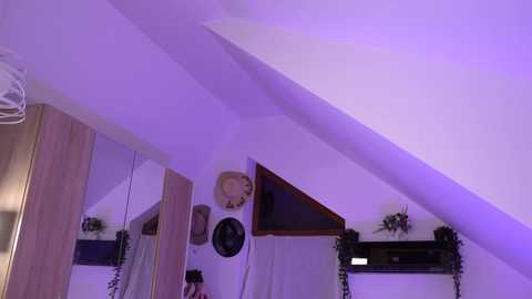 artofboobs @ chaturbate on 20250730