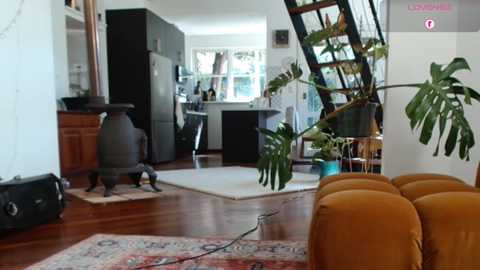 bellebabyboo @ chaturbate on 20250730