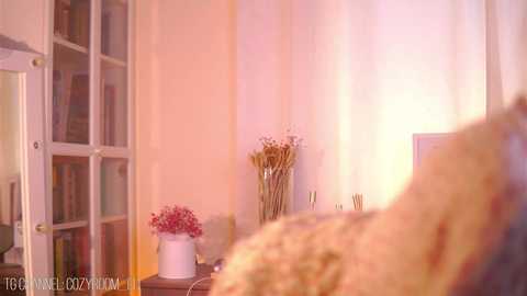 brave_journey @ chaturbate on 20250730