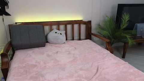 lucidangelok @ chaturbate on 20250730