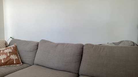 shysashy @ chaturbate on 20250730