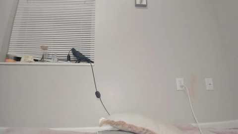 venicebtchh @ chaturbate on 20250730