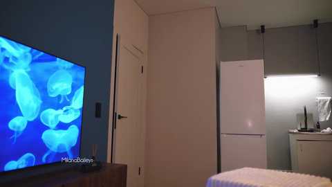 milanabaileys @ chaturbate on 20250731