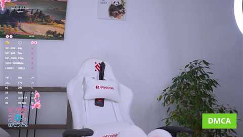 oke_doke @ chaturbate on 20250731