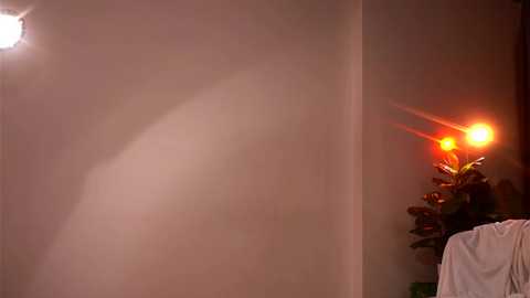 shiningstarrr @ chaturbate on 20250731