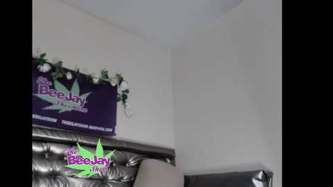 thebeejayshow
