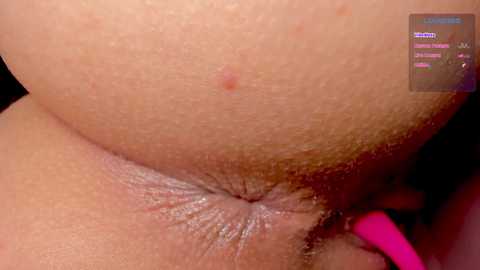 _witch__ @ chaturbate on 20250803