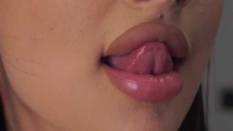 loracopple