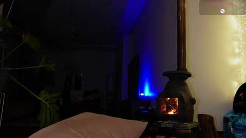 bellebabyboo @ chaturbate on 20250804