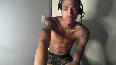 blackbulltitus