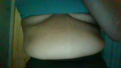 spicyspanishmamas @ chaturbate on 20250804