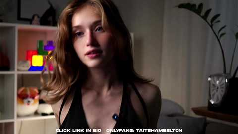 taitehambelton @ chaturbate on 20250804