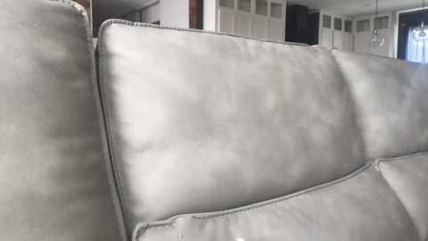 texas_blonde
