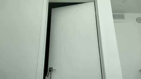 camiliakxoxo @ chaturbate on 20250805