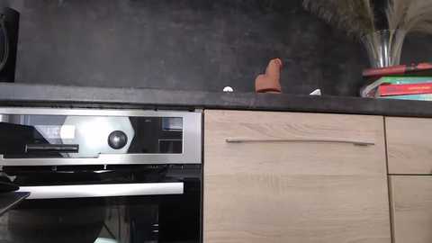 single_fox_4u @ chaturbate on 20250805