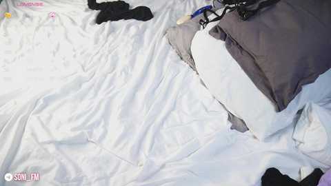 sonisins @ chaturbate on 20250805