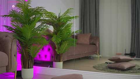 abbela_white @ chaturbate on 20250806