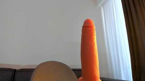 sammy_sa
