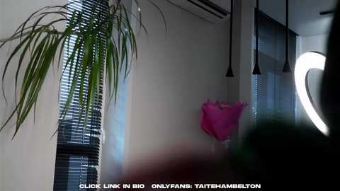 taitehambelton @ chaturbate on 20250809