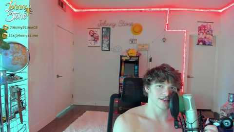thejohnnystone