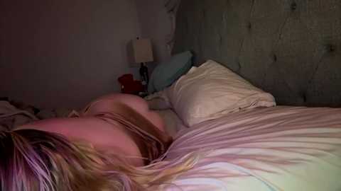 x_dreamgirl_x @ chaturbate on 20250809