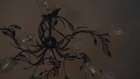 cassicompagna @ chaturbate on 20250810