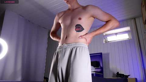 dustyn_fox