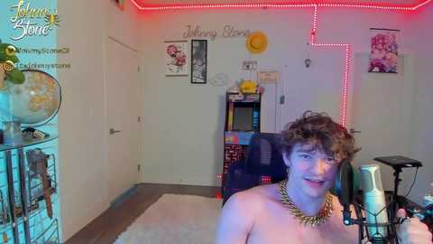 thejohnnystone