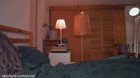 ocicat