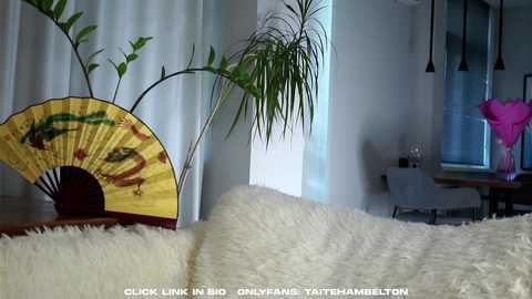 taitehambelton @ chaturbate on 20250812