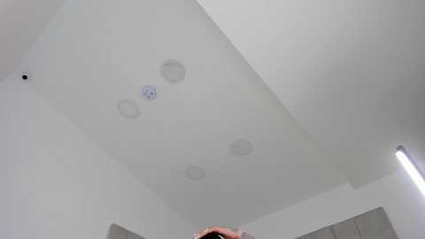 tamy_leen
