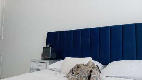 theislandgirl @ chaturbate on 20250812