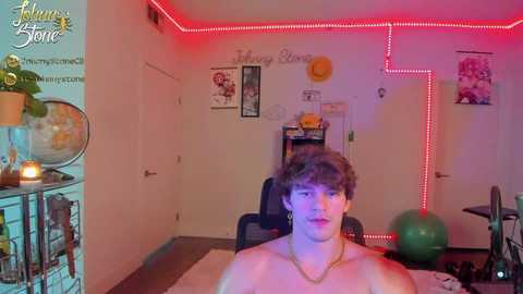 thejohnnystone
