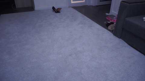 amy_alle