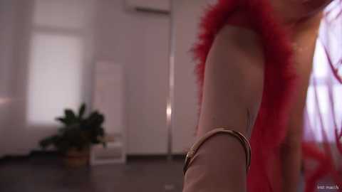 alissa_wxw @ chaturbate on 20250814