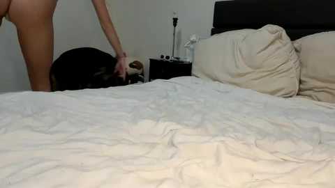 scarletterose_504259 @ chaturbate on 20250815