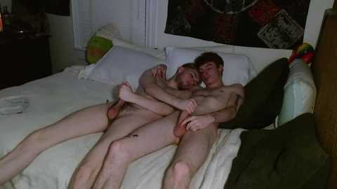 stepbros_try_stuff