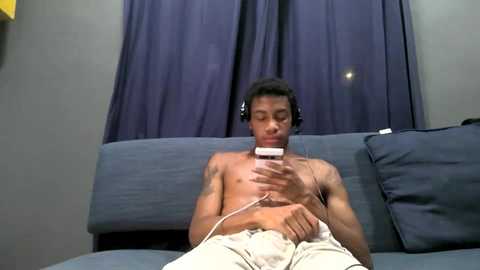 blackbulltitus