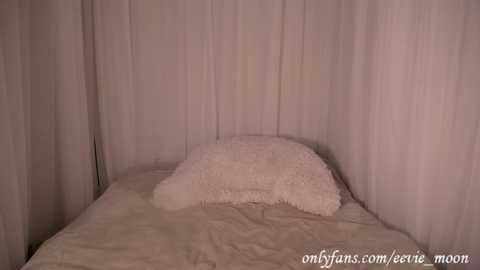 eevie_moon