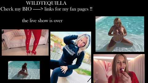 wildtequilla