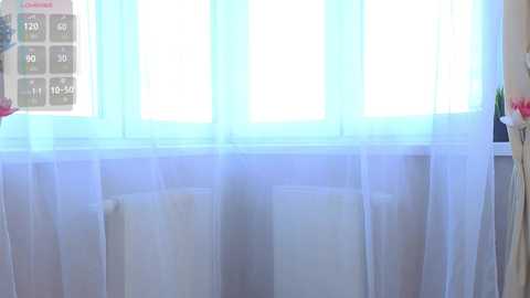 lizbethbiers