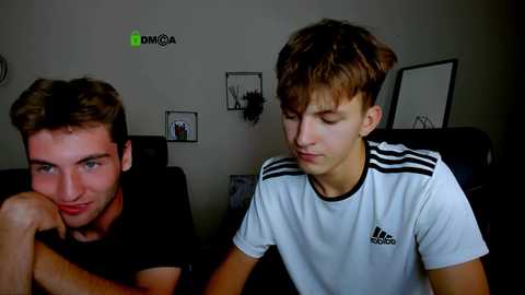 travis_wolf_