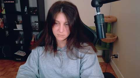 alexa_dream