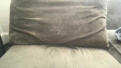 circumsizedbandit @ chaturbate on 20250823