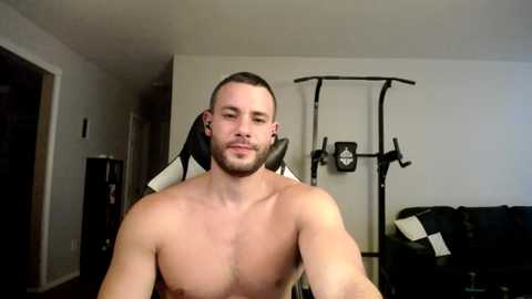 alpha_dominus_king