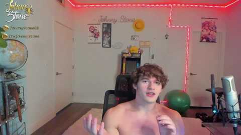 thejohnnystone
