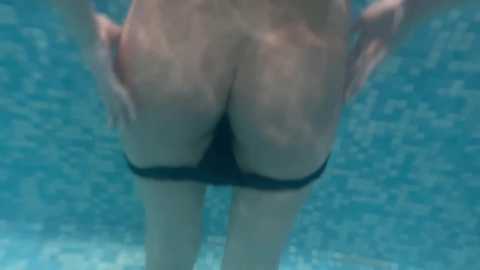 butteflai