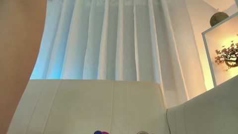 nezo_